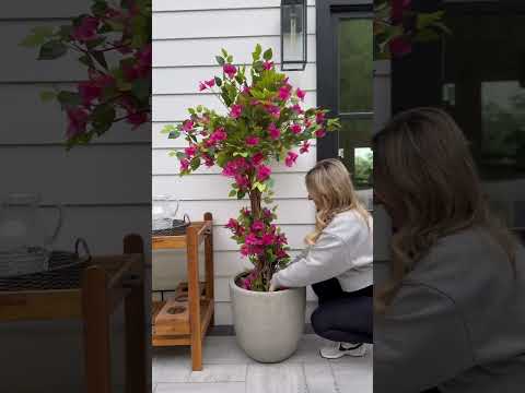 House Royer's Flowers And Presents Flowers, Vegetation & Presents With Similar Day Delivery House Royer's Flowers And Presents Flowers, Vegetation & Presents With Similar Day Delivery
