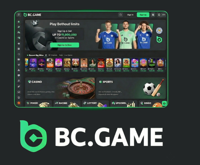 BC.Game URL – Everything You Need to Know -338268869
