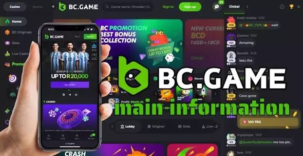 Understanding the BC.Game Login Process -332963244